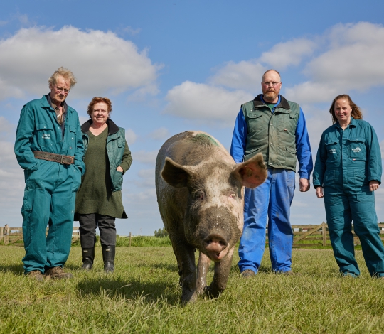 familie Wennekers uit Schagen met varkens